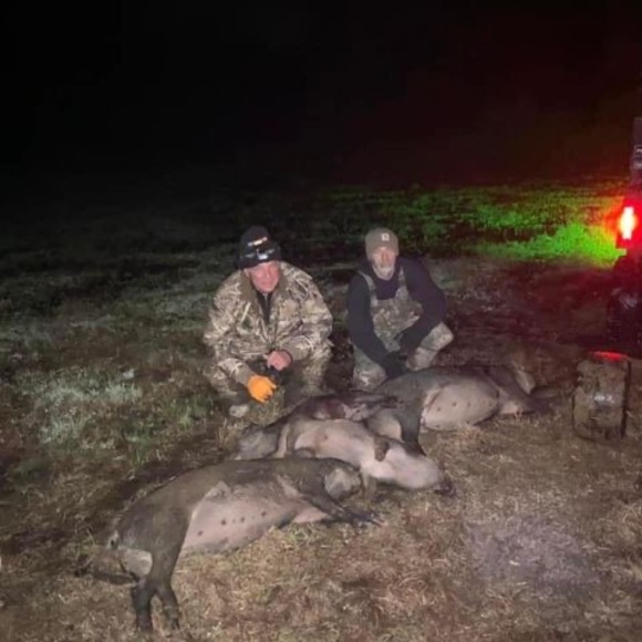 Meet your Posher, Jeremy - Picture 1 of 1